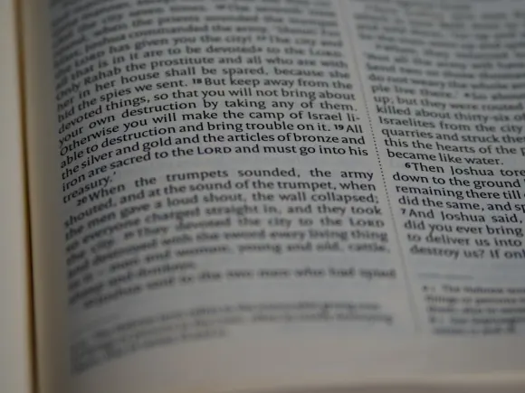 Casino Grand Eagle Podrška